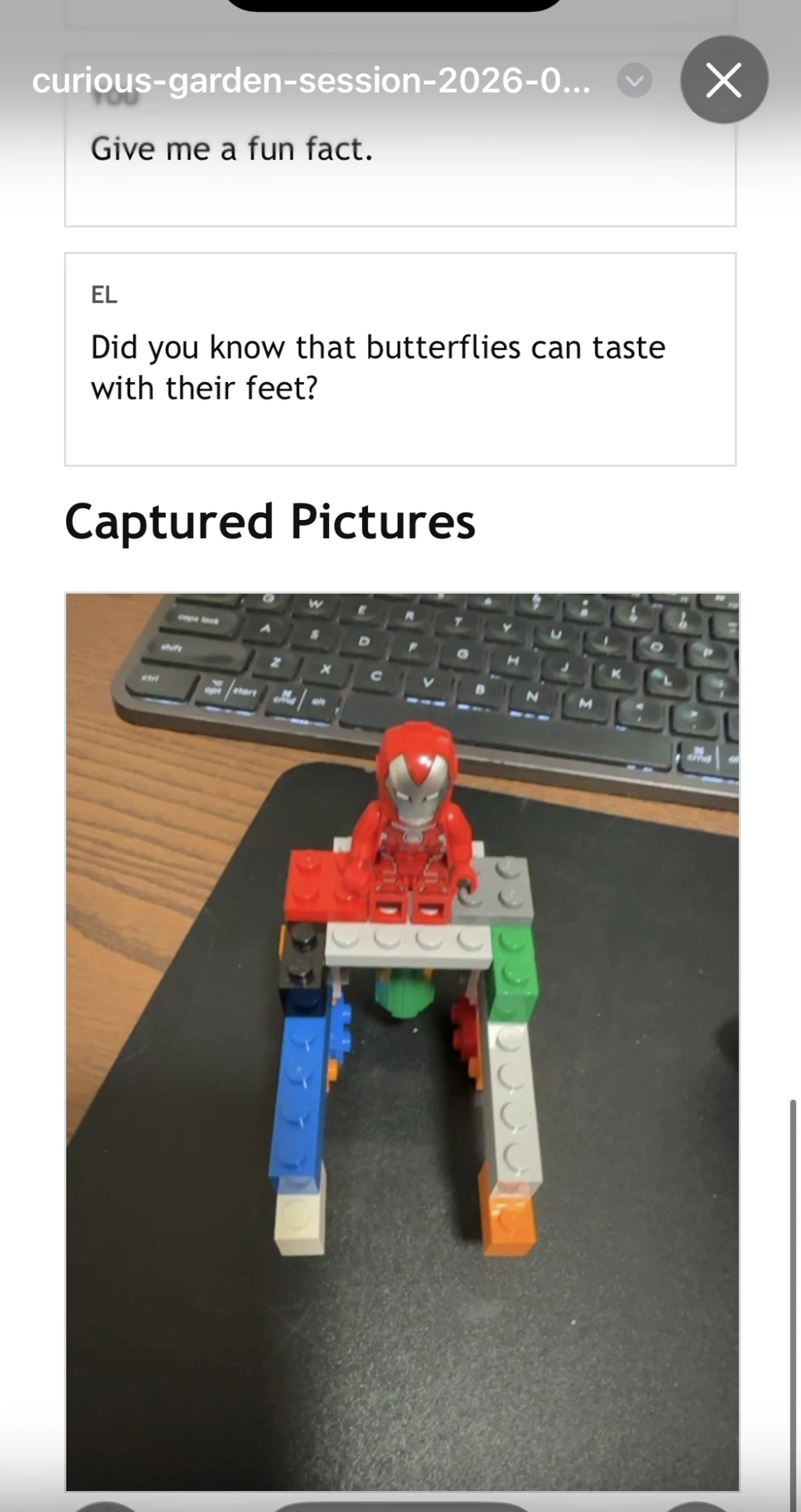 Curious Garden saved conversation screen three